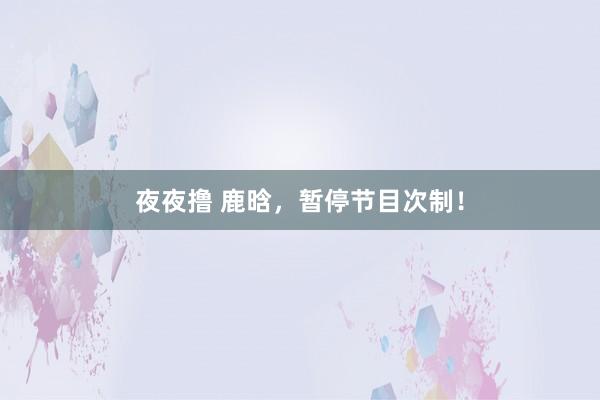 夜夜撸 鹿晗，暂停节目次制！