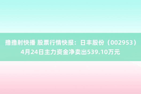 撸撸射快播 股票行情快报：日丰股份（002953）4月24日主力资金净卖出539.10万元